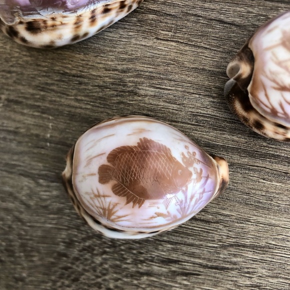 Vtg Hand Carved Cowrie Seashells with Intricate Designs - Picture 4 of 12